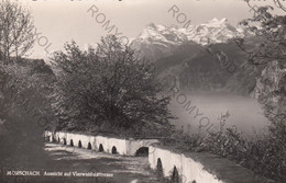 CARTOLINA  MORSCHACH,SCHWYZ,SVIZZERA,AUSSICHT AUF VIERWALDSTATTERSEE,NON VIAGGIATA - Morschach