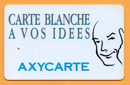Pub Carte De Visite France - Fabricant De Carte Plastique Card  Karte (D 725) - Other & Unclassified