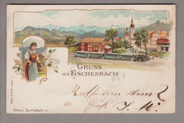 CH LU Eschenbach 1898-10-15 Litho Müller & Trüb - Eschenbach