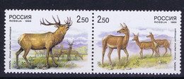 Russia 1999 Wildlife, Deer - Other & Unclassified