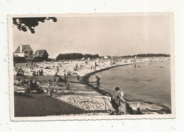 Cp , 29, ILE TUDY , La Plage , Vierge , Ed. Pouillot Ehanno ,n° 14 - Ile Tudy