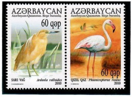 Azerbaijan 2010 . Birds (J/w Kazakhstan). Pair Of 2v X 60q. Michel # 832-33 - Azerbaïjan