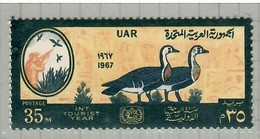 Egypt 1967, Bird, Birds, Red-breasted Goose, 1v, MNH** - Geese