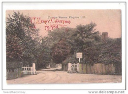 COOMBE WARREN KINGSTON HILL A MERRY CHRISTMAS TO YOU  AS SERIES No. 365 PRINTED IN GERMANY - Surrey