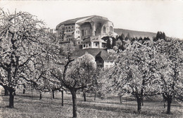 8907) GOETHEANUM - Freie Hochschule Für Geisteswissenschaften DORNACH - Schweiz 1955 - Dornach