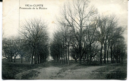 CPA - Carte Postale - France - Vic Le Comte - Promenade De La Molière ( MO18068) - Vic Le Comte