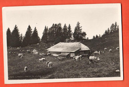 FBC-35 Mont-de-Buttes Val-de-Travers, Chalet D'alpage Dans Le Jura. Trupfeau De Vaches Circulé 1938, Phototypie 2195 - Buttes 