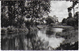 Pont Audemer -   La Risle - 1954 - Pont Audemer