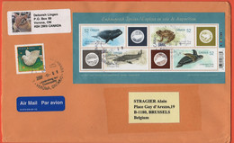 CANADA - 2007 - BF Endangered Species + 1,55$ Christmas - Medium Envelope - Viaggiata Da Verona Per Brussels, Belgium - Covers & Documents