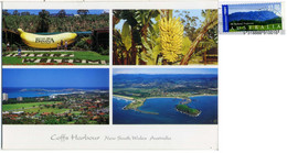 AUSTRALIA  COFFS HARBOUR  NSW  Multiview  The Big Banana  Nice Stamp - Coffs Harbour