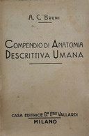 Compendio Di Anatomia Descrittiva Umana  Di A. C. Bruni  - ER - Medicina, Biología, Química