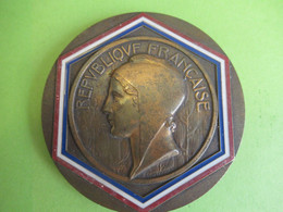 Médaille De Table Ancienne/RF/ Soirée Des Maires De France/Bronze /PARIS 28 Octobre 1987   MED405 - Professionals/Firms