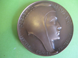 Médaille De Table Ancienne/RF/Liberté Egalité Fraternité/Offert Par René TOMASINI Député /Eure/H DUBOIS/ 1974     MED406 - Professionnels / De Société