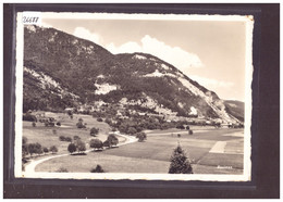 FORMAT 10x15cm - DISTRICT D'ORBE - BAULMES - TB - Baulmes