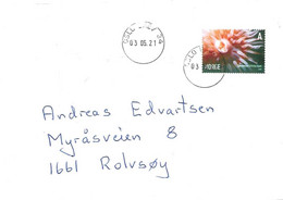 Norway 2005 / 2021 Cover With Mi 1545 Sea Animals, Sea Anemone (Urticina Eques)  Cancelled Oslo Brev 3.5.21 - Lettres & Documents