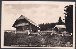 AUSTRIA  ,  KRIEGLACH  ,  OLD  POSTCARD - Krieglach