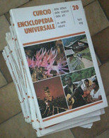 Curcio Enciclopedia Universale - Completa (Da 1 A 20)-Aa.Vv. - 1990 - Curcio-lo - Encyclopedieën