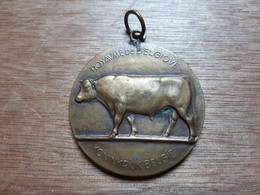 BELGIQUE BELGIE MEDAILLE AGRICULTURE LANDBOUW 1948 - Firma's