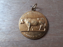 BELGIQUE BELGIE MEDAILLE AGRICULTURE LANDBOUW 1949 - Firma's