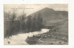 Cp,  15 , Cantal , MURAT , Les Rives De La CERE , Vierge - Murat