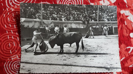 CPSM NIMES GARD COURSE DE TAUREAUX AUX ARENES ROMAINES LA MISE A MORT ED RELLA 1960 - Stiere