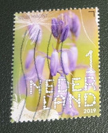 Nederland - NVPH - Xxxx - 2019 - Gebruikt - Used - Beleef De Natuur - Wilde Hyacint - Usados