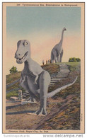 South Dakota Rapid City Tyrannosaurus Rex Brontosaurus In Background Dinosaur Park Curteich - Rapid City