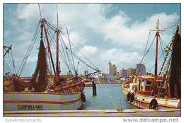 Texas Corpus Christi Shrimp Boats At The Seawall And Skyline - Corpus Christi