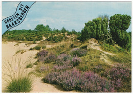 Groeten Uit Haaksbergen - Zandverstuiving, Heide - (Nederland/Holland) - Nr. AR 3 - Haaksbergen