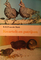 Kwartels En Patrijzen - Door R. Van Der Mark - 1978 - Wild Vogels - Otros & Sin Clasificación