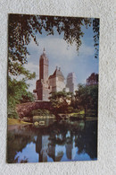 C252, Cpsm, New York, Central Park And Fifth Avenue, USA, Etats Unis - Central Park