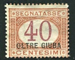 OLTRE GIUBA 1925 SEGNATASSE 40 C. * GOMMA ORIGINALE - Oltre Giuba