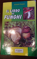 Il Mondo Dei Funghi - Antonello Piersanti - Di Fraia - 1990 - M - Natuur