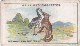 69 The Wolf & The Crane, Fables & Their Morals 1922  - Gallaher Cigarette Card - Original - Antique - Gallaher