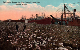 TEXAS / GALVESTON / THE FIRST COTTON EXPORT PORT OF THE WORLD - Galveston