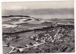 SUISSE .BURTIGNY.  VUE AERIENNE. LE LAC LEMAN ET LES ALPES.  ANNÉE 1964 + TEXTE - Burtigny