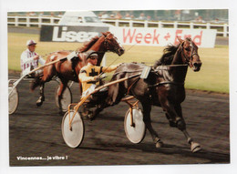 - CPM HIPPISME - VINCENNES : Madame Henri Levesque - Photo Drevet N° 2 - Editions ROSÉA SÉVIGNY - - Paardensport