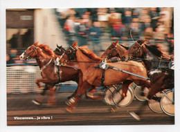 - CPM HIPPISME - VINCENNES : Chaque Sujet Donne Le Meilleur De Lui-même - Photo Drevet N° 4 - Editions ROSÉA SÉVIGNY - - Horse Show