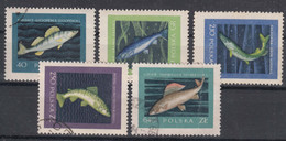 Poland 1958 Fish Mi#1051-1055 Used - Gebraucht