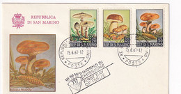 San Marino, First Day Cover, Used, Mushrooms - Storia Postale