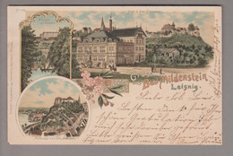 AK DE Sachsen Bad Mildenstein (Leisnig) 1898-11-28 Litho Julius Otto Winkler&Voigt - Leisnig