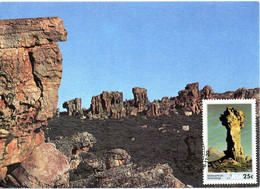 AFRIQUE DU SUD. N°616 De 1986 Sur Carte Maximum. Mont Sederberge. - Montagne