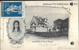 Suisse    TELL   Schlösschen A Pro In Seedorf ( 3000 H )  :Berhta Von Bruneck CPA 1904 - Seedorf