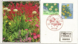 Brassicacées, Fleurs Des Alpes Japonaises.Asagiri Plateau,Mt Fuji,Fujinomiya,Shizuoka Prefecture. FDC - Covers & Documents