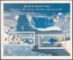 India 2009 MNH SS, Polar Region, Birds, Penguins, Bear, Glaciers - Préservation Des Régions Polaires & Glaciers