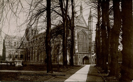 HANTS - WINCHESTER - CATHEDRAL AND AVENUE RP  Ha591 - Winchester