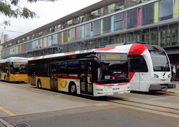 Frauenfeld    Q  Postauto   Limitierte Auflage! - Frauenfeld