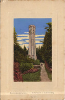 CPA AK KIRCHHEIMBOLANDEN Aussichtturm A. D. Donnersberg GERMANY (1161874) - Kirchheimbolanden