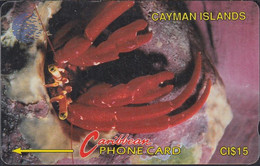 Cayman Islands - CAY-4B - Hermit Crab - Krabbe - New Logo - 4CCIB CI$15 - Antilles (Other)