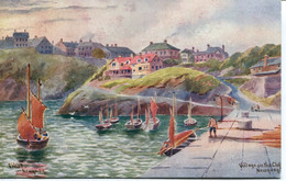 CORNWALL - VILLAGE ON THE CLIFF, NEWQUAY By ELLIOTT - Newquay